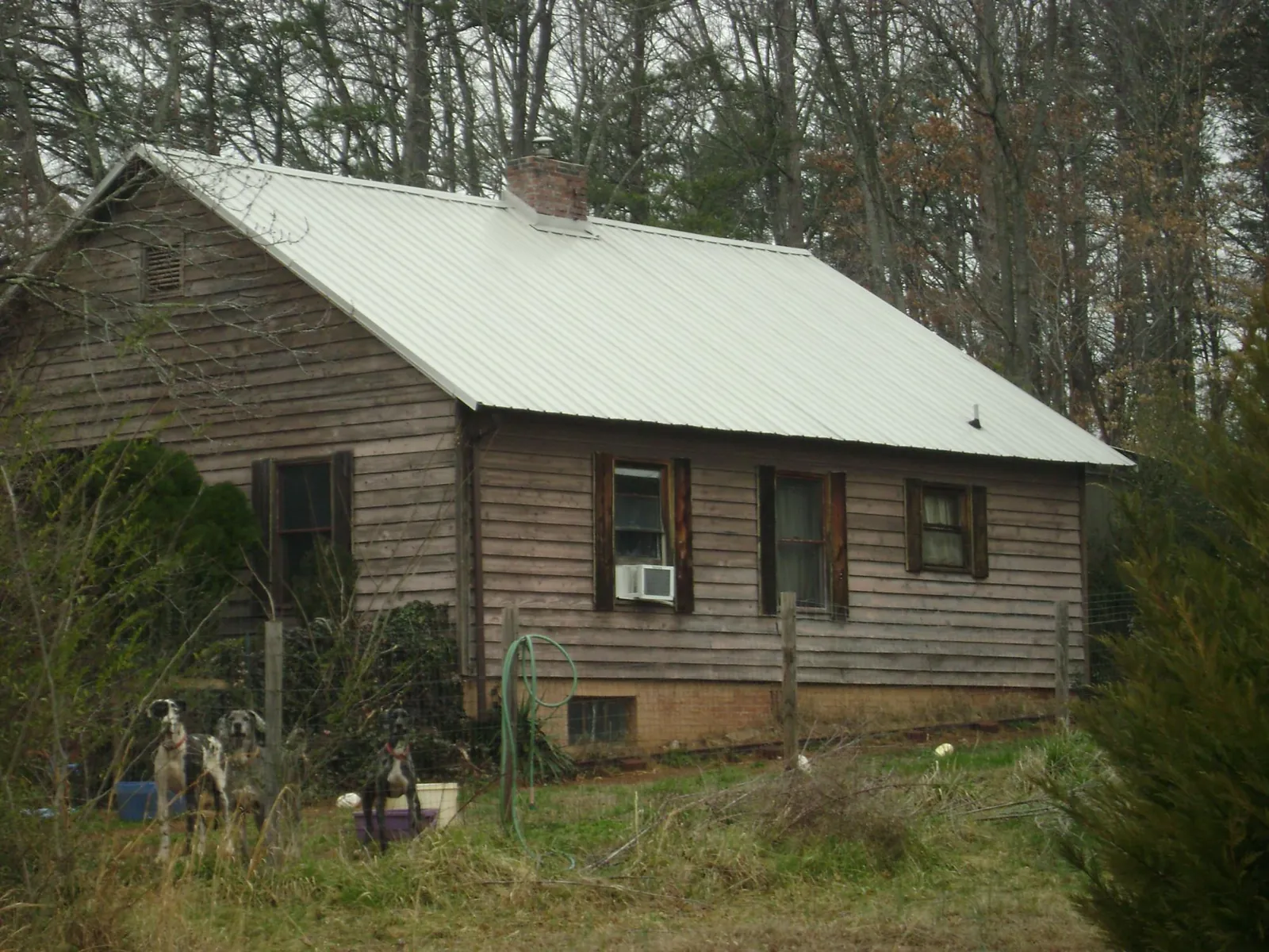 White metal roof on an old wood sided farmhouse, from a Asphalt Shingle Roof Repair job in Seaton